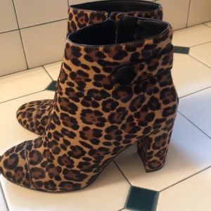 Ann Taylor leopard booties